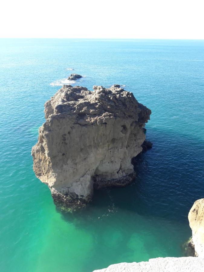 Casa Das Ondas - Praia Do Norte Nazaré Dış mekan fotoğraf